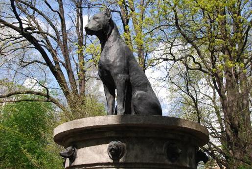 pomnik psa w Togliatti